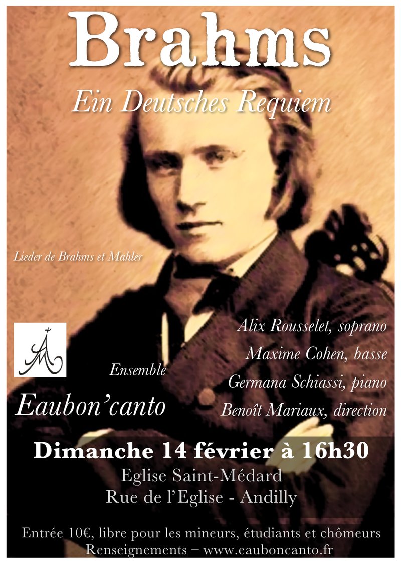 Vignette de Concert : dimanche 14 février 2016 - Brahms